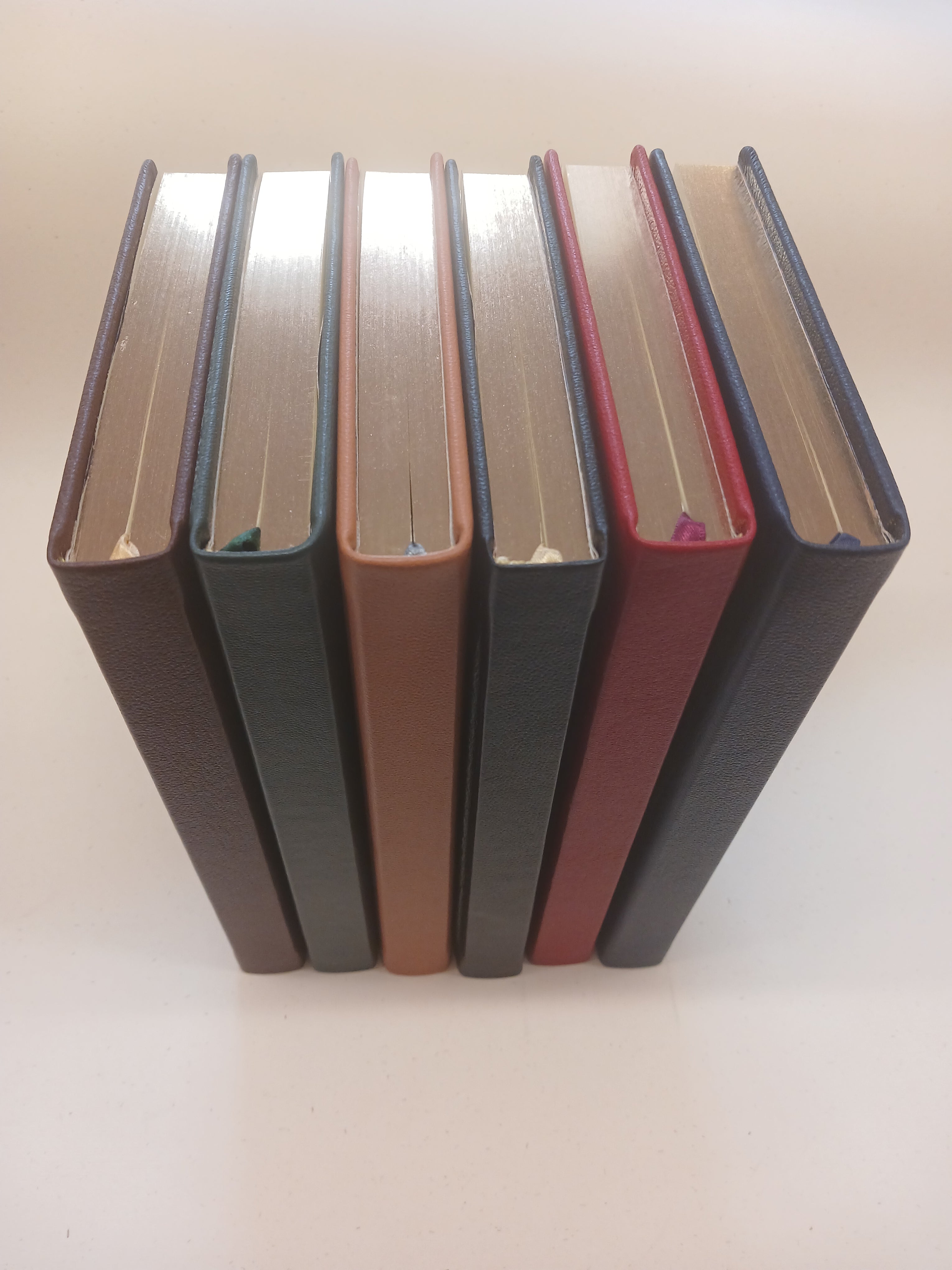 Leather Notebooks - Special Edition