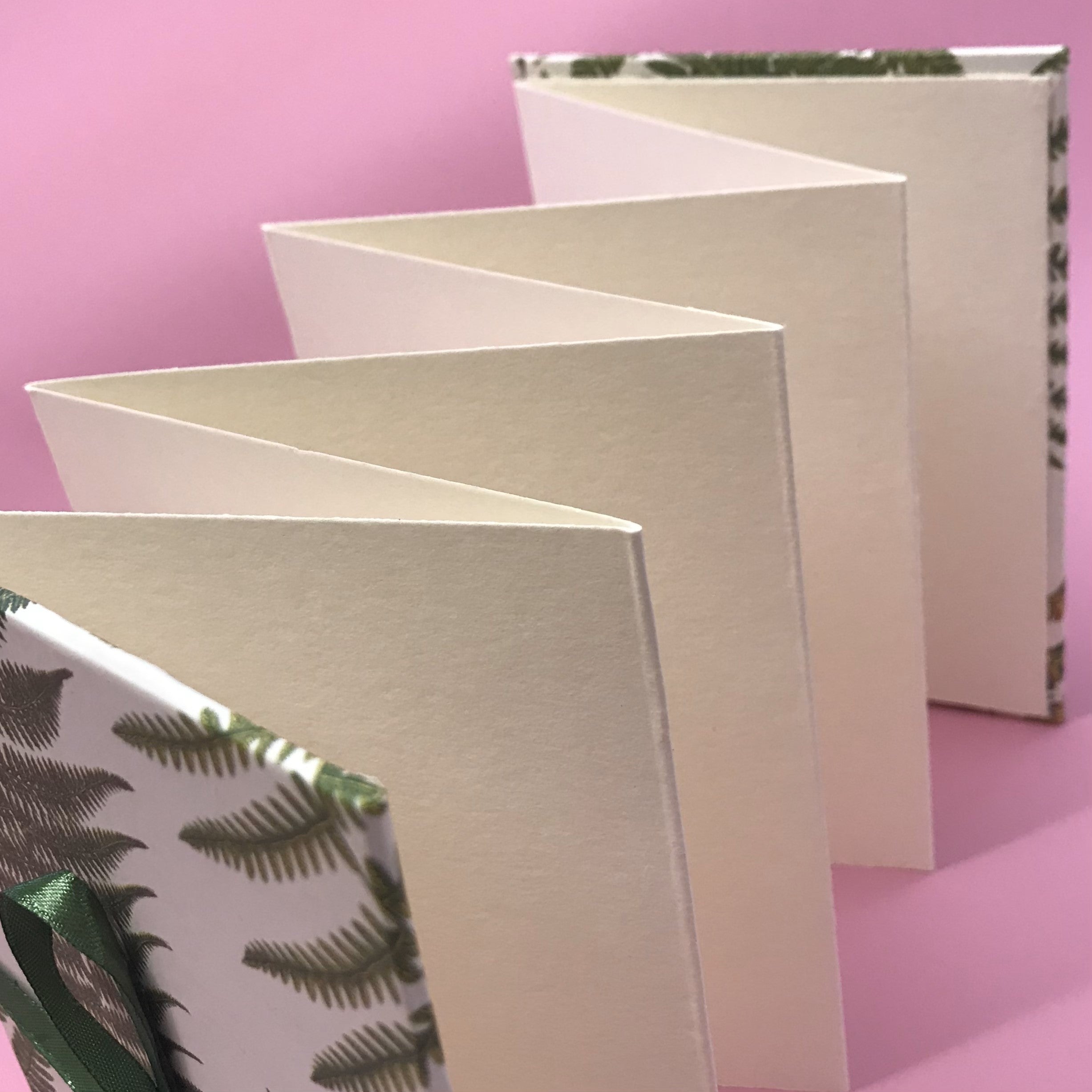 Concertina Album