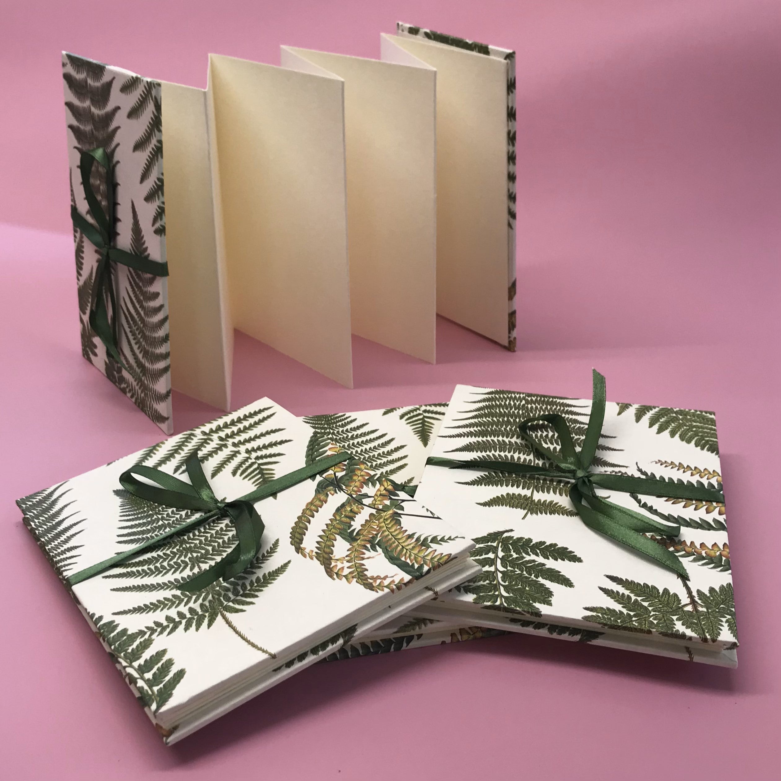 Concertina Album