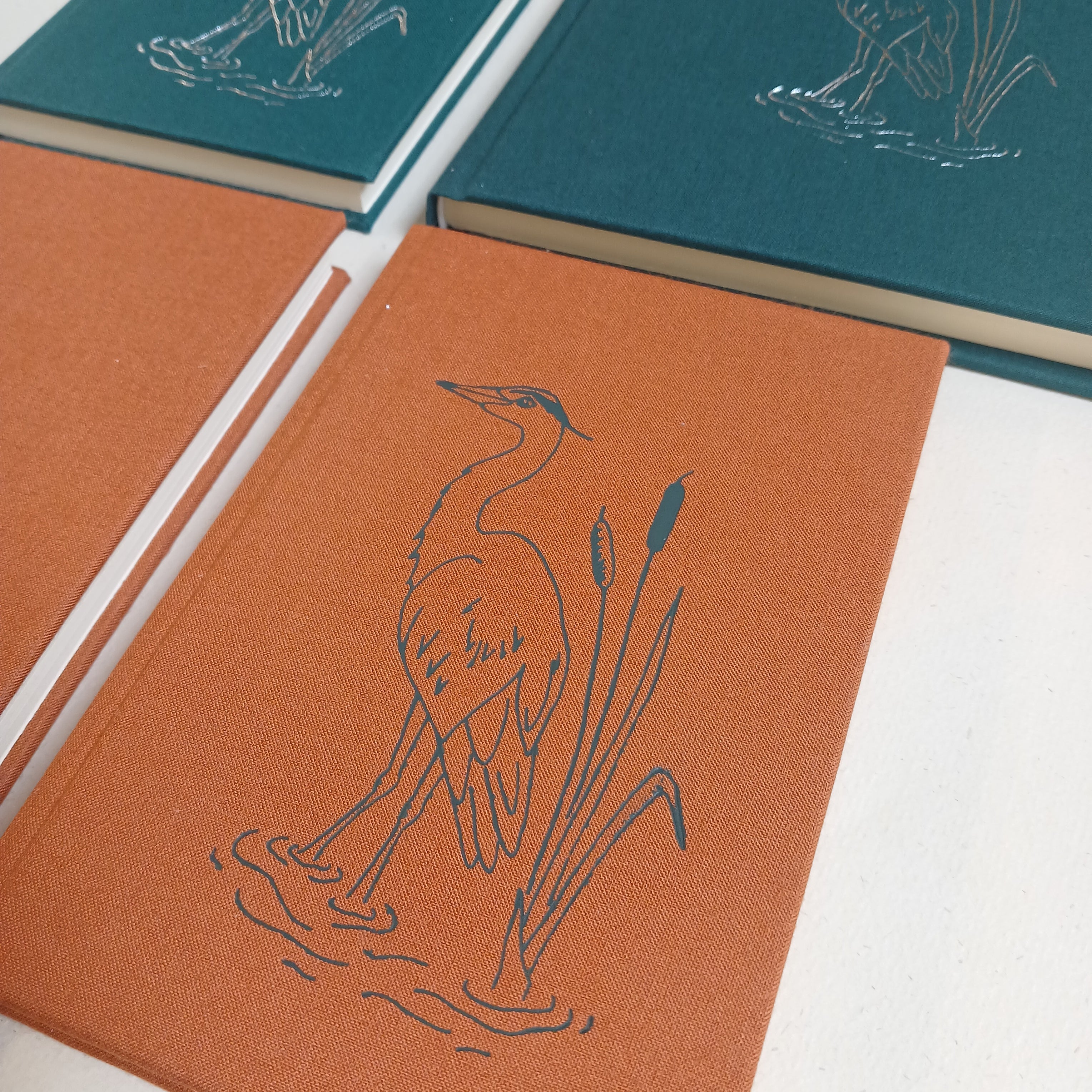 The Wild Collection