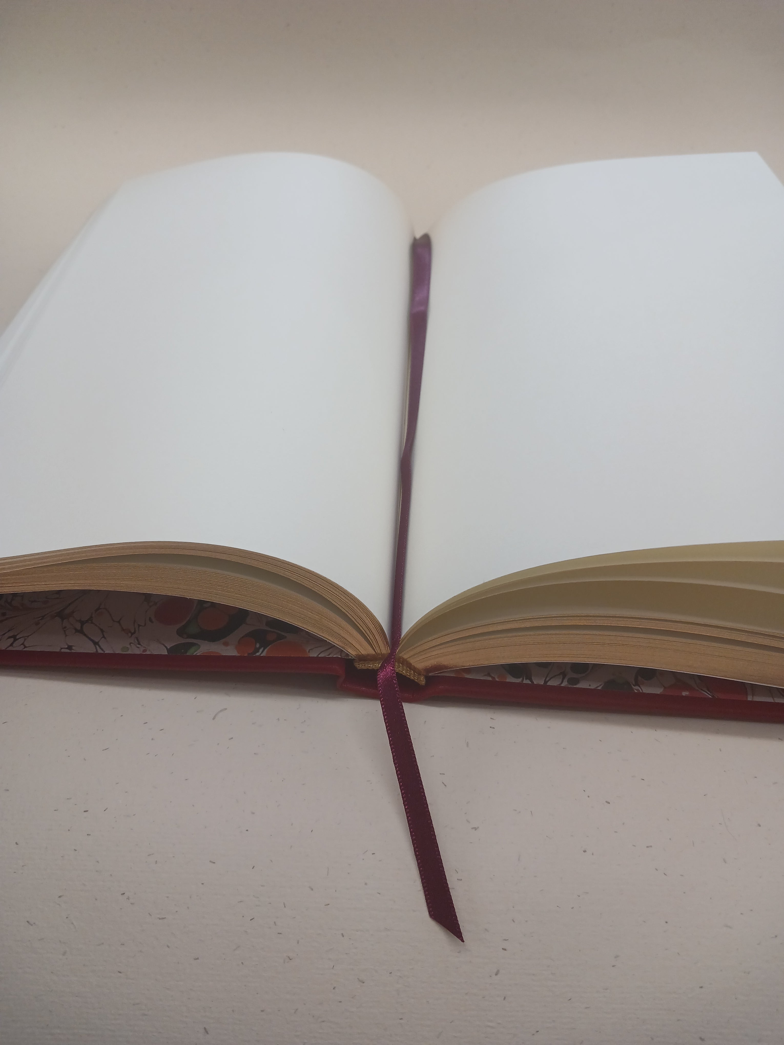 Leather Notebooks - Special Edition